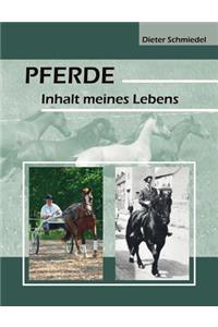 Pferde
