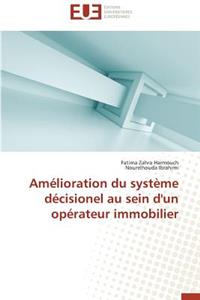 Amélioration Du Système Décisionel Au Sein d'Un Opérateur Immobilier