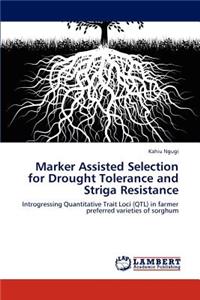 Marker Assisted Selection for Drought Tolerance and Striga Resistance
