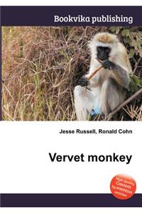 Vervet Monkey