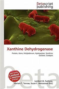 Xanthine Dehydrogenase
