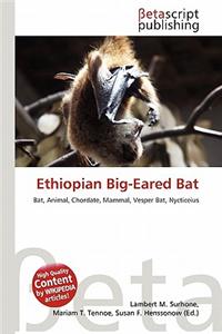 Ethiopian Big-Eared Bat