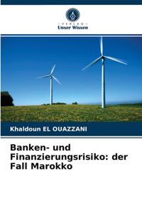 Banken- und Finanzierungsrisiko