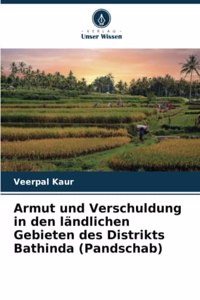 Armut und Verschuldung in den ländlichen Gebieten des Distrikts Bathinda (Pandschab)