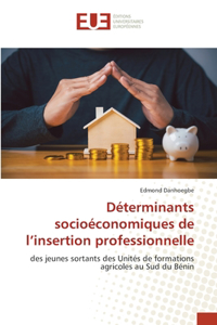 Déterminants socioéconomiques de l'insertion professionnelle