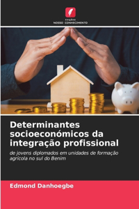 Determinantes socioeconómicos da integração profissional