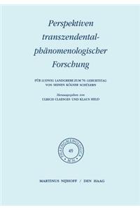 Perspektiven transzendentalphänomenologischer Forschung