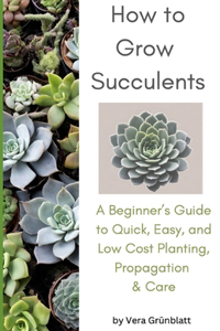 How to Grow Succulents