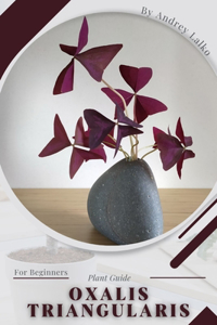 Oxalis triangularis