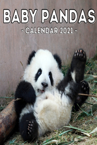 Baby Pandas 2021 Calendar
