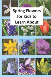 Spring Flowers for Kids to Learn About