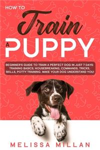 How to Train a Puppy