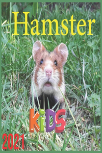Hamster 2021