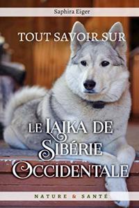 Tout Savoir sur le Laïka de Sibérie Occidentale