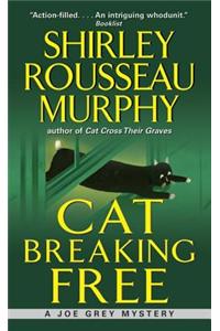 Cat Breaking Free