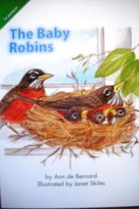 Reading 2007 English Language Learners Reader Grade 1 Book 17