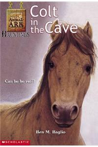 Animal Ark Hauntings #4