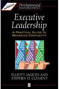 Executive Leadership: A Practical Guide to Managing Complexity