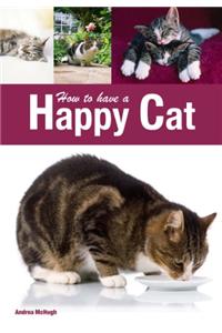 How to have a Happy Cat