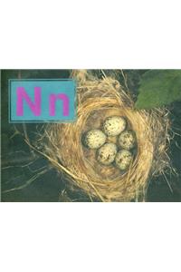 Nn