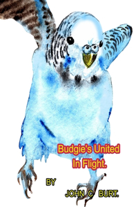 Budgie's United In Flight.