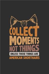 Collect Moments Not Things Unless Those Things Are American Shorthairs