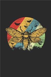 Honey Bee