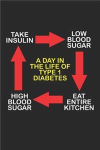 A Day in the Life of Type 1 Diabetes Take Insulin Low Blood Sugar Eat Entire Kitchen High Blood Sugar