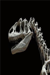 Dinosaur Notebook
