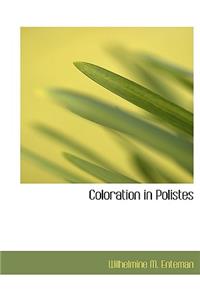 Coloration in Polistes