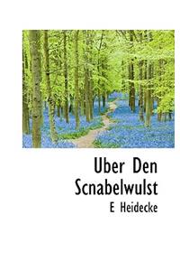 Uber Den Scnabelwulst