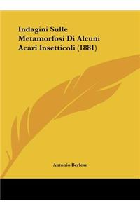 Indagini Sulle Metamorfosi Di Alcuni Acari Insetticoli (1881)