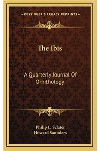 The Ibis