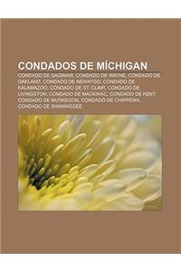 Condados de Michigan