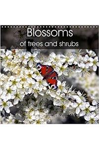 Blossoms of Trees and Shrubs 2017