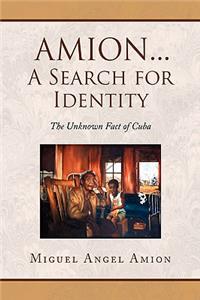 Amion...a Search for Identity