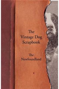 Vintage Dog Scrapbook - The Newfoundland