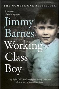 Working Class Boy