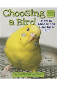 Choosing a Bird