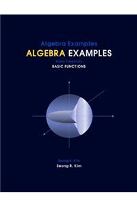 Algebra Examples Basic Functions