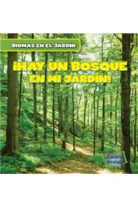 Vivo Cerca de Un Bosque (There's a Forest in My Backyard!)