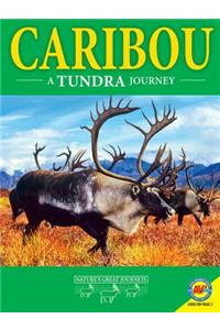 Caribou: A Tundra Journey