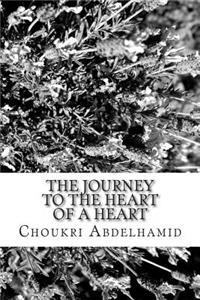 The journey to the heart of a heart