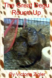 Great Degu Round-Up