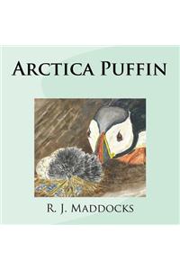 Arctica Puffin