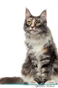 Maine Coon Cat Affirmations Workbook Maine Coon Cat Presents