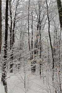 Overcast Winter Day Journal