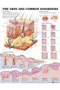 Skin and Common Disorders Anatomical Chart