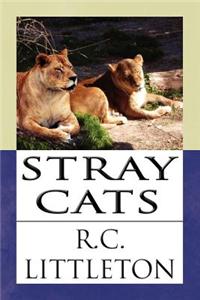 Stray Cats