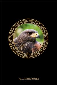 Falconer Notes